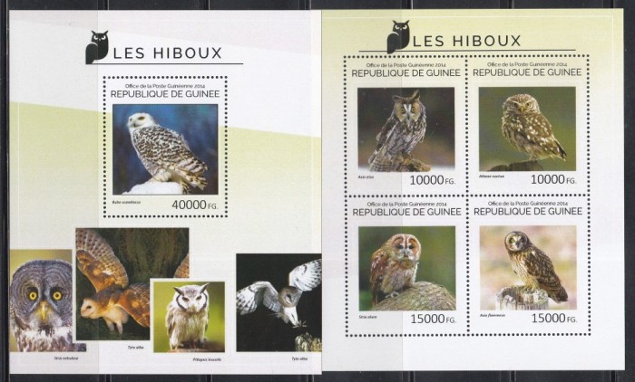 Guineea 2014 - Bufnițe, Colită + Bloc, MNH