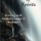 The Intercession of Spirits: Working with Animals, Angels &amp; Ancestors