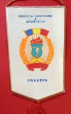 Fanion - Directia Judeteana a SPORTULUI PRAHOVA