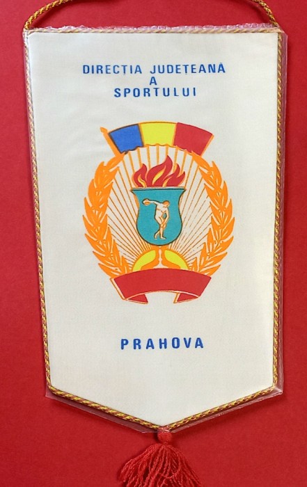 Fanion - Directia Judeteana a SPORTULUI PRAHOVA