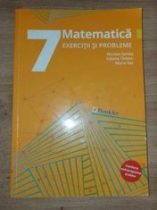 Matematica. Exercitii si probleme pentru clasa a 7-a - Nicolae Sanda, Iuliana Chilom