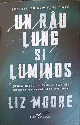 UN RAU LUNG SI LUMINOS-LIZ MOORE-243583 foto