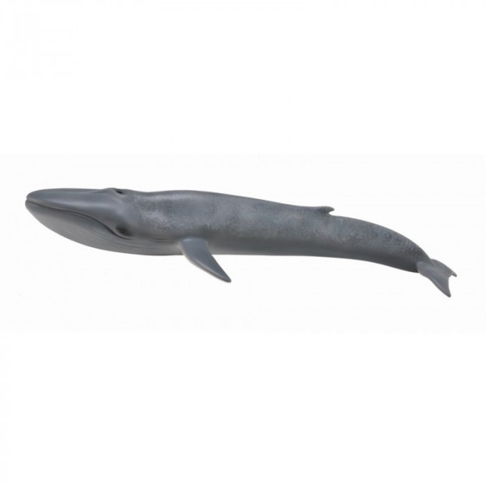 Figurina Balena Albastra Collecta, 29 cm, 3 ani+
