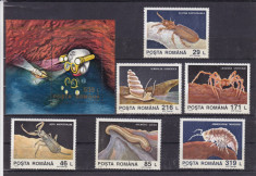 ROMANIA 1993 LP 1332 LP 1333 PESTERA MOVILE SERIE SI COLITA MNH foto