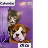 Calendar caini si pisici 16 file 2026