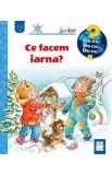 Ce facem iarna? - Andrea Erne