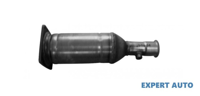 Filtru de particule Citroen C5 II (2004-&gt;) [RC_]