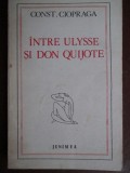 Intre Ulysse si Don Quijote