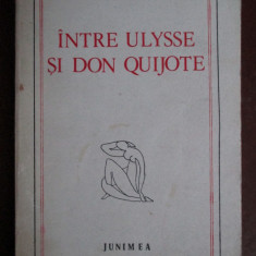 Intre Ulysse si Don Quijote