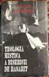 TEOLOGIA MISTICA A BISERICII DE RASARIT,VLADIMIR LOSSKY/prefata DUMITRU STANILOAIE/COLECTIA DOGMATICA/ 305 pagini/ STARE BUNA, Carti istoria bisericii
