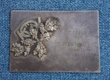 Placheta Bronz Argintat 1926 Premiul II Concurs Nautic Dunărea Regatta 7x5cm