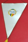 Fanion de colectie Aviatie - FEDERATIA AERONAUTICA ROMANA
