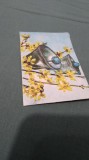 Cumpara ieftin CARTE POSTALA FELICITARE CIRCULATA