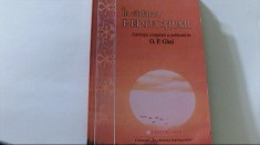 IN CAUTAREA PERFECTIUNII ( Antologie compilata sI publicata de O.P. GHAI, 2007 )