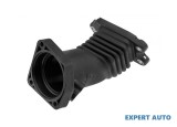 Furtun aer Ford Focus C-Max (2003-2007)[DM2] #1