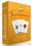 Cumpara ieftin Montessori. Asocieri: Animale, Hrana Si Adapost, - Editura Gama