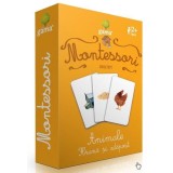 Montessori. Asocieri: Animale, Hrana Si Adapost, - Editura Gama