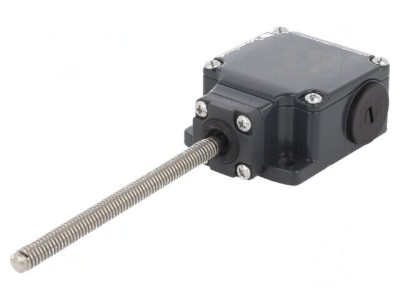 Limitator cursa NO NC 10A 500VAC 250VDC PG13,5 foto