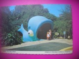 HOPCT 7604 WILLIE BALENA ALBASTRA-PARCUL DE POVESTY OAKLAND CALIFORNIA -SUA-AMERICA DE NORD -CIRCULATA, Printata