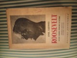 Emil Ludwig Roosevelt. Studiu despre fericire si putere