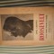 Emil Ludwig Roosevelt. Studiu despre fericire si putere