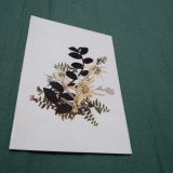 Cumpara ieftin CARTE POSTALA FELICITARE CIRCULATA