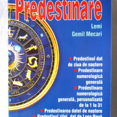 "PREDESTINARE", Lemi Gemil Mecari, 2008
