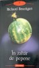 In Zahar de Pepene - Richard Brautigan, Polirom 2004, Proza XX, Roman, Beletristica, Editie Paperback