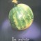 IN ZAHAR DE PEPENE-RICHARD BRAUTIGAN-222046