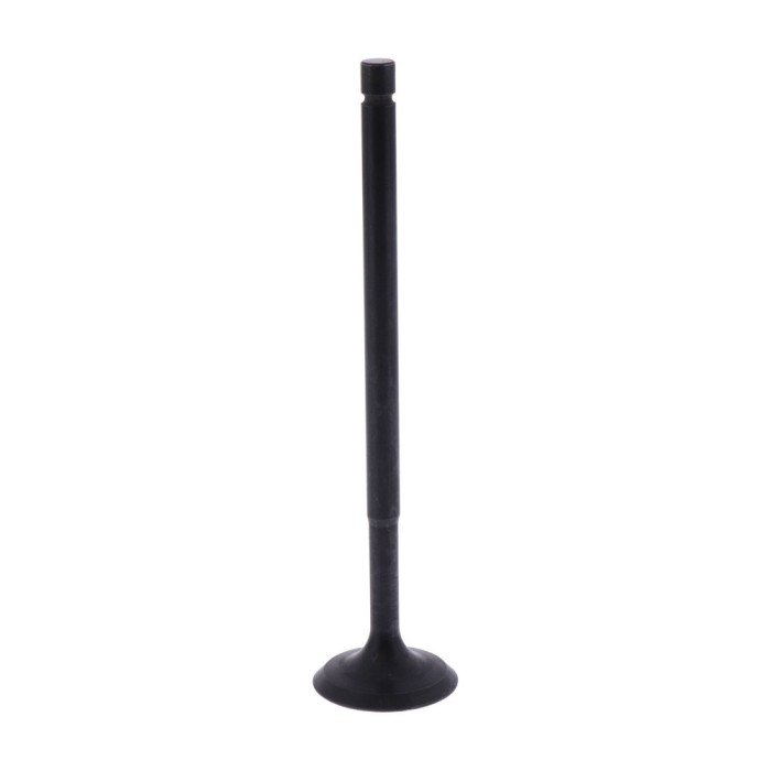 Supapa de admisie, diametru cap 21.92mm, lungime totala 94.53mm, diametru 4.94mm Cod Produs: MX_NEW 7471383MA