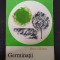Petre Ghelmez - Germinatii
