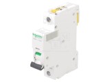 &Icirc;ntrerupător de supracurent 40A 1P 230V