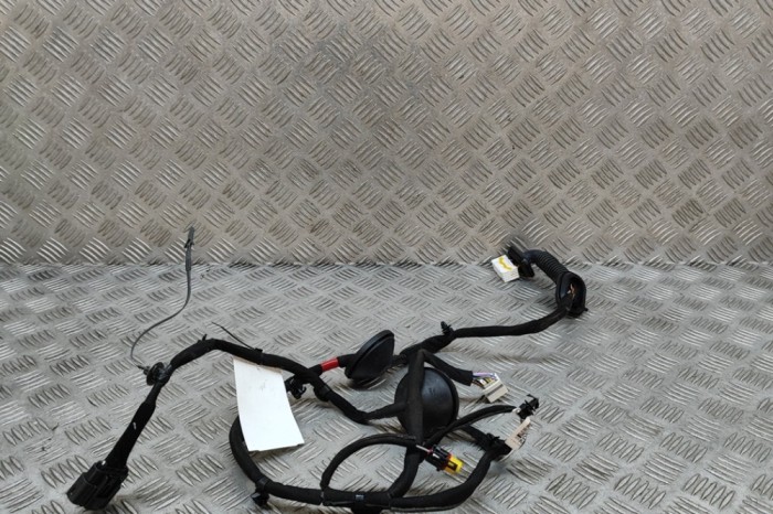 Cablaj ușă dreapta spate KIA NIRO 2021 OEM: 91630-Q4020 28849675