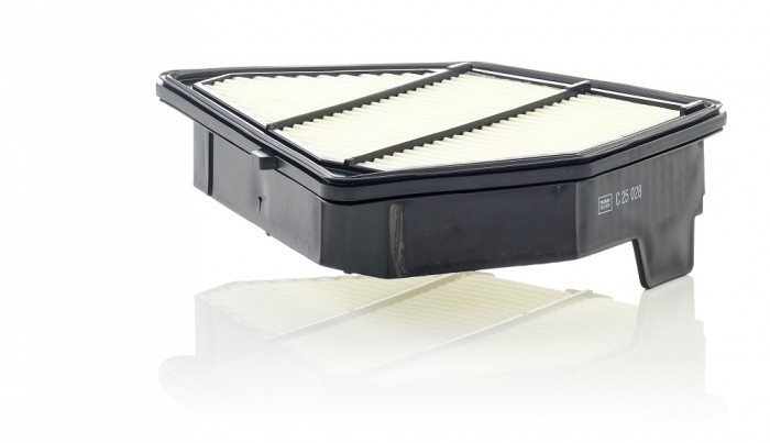 Filtru Aer Mann-Filter C25028