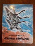 Glasurile Pamantului - I. Sokolov Mikitov / R7P4S, Alta editura