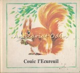 Cumpara ieftin L&#039;Histoire De Couic Ecureuil Heinz Buchmann - Carte Copii, Basm Ilustrat
