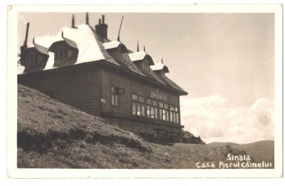 SV * Sinaia * CASA PISCUL CAINELUI * 1939 * Muntii Bucegi foto