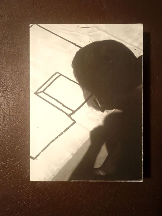 Claudiu Cobilanschi (dedicație/ autograf) - Pivoti (ex. 10/100; serie limitată)