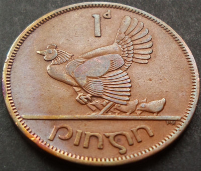 Moneda istorica 1 PENNY / PINGIN - IRLANDA, anul 1950 * cod 3467 foto