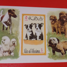 RAS AL KHAIMA, CÂINI - COLIȚĂ IMPERF. MNH