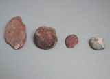 Lot de 4 amoniti din Triasic Dobrogea