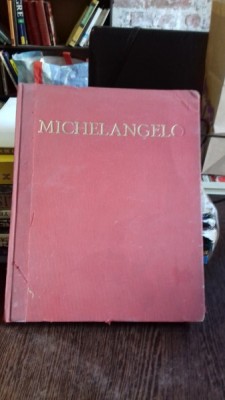 MICHELANGELO - ENZO CARLI foto