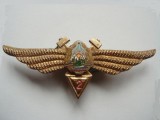 ROMANIA - INSIGNA MILITARA AVIATIE - TEHNIC DE AVIATIE CL. 2, MODEL 1968, RSR, IM1.248