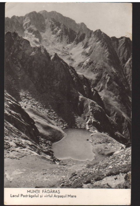 CPIB 22701 - CARTE POSTALA - MUNTII FAGARAS. LACUL PODRAGELUL, VF ARPASUL MARE