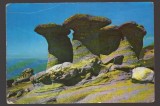 CPIB 24490 CARTE POSTAL - MUNTII BUCEGI. BABELE, NECIRCULATA