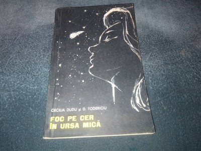 CECILIA DUDU - FOC PE CER IN URSA MICA foto