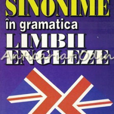 Sinonime In Gramatica Limbii Engleze - Leon Levitchi