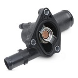 MTR 12165278 termostat,lichid racire