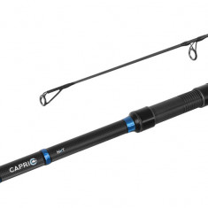 Set x 4 lansete Delphin Capri NXT 3,60 M/3,5 LBS./2 Segmente