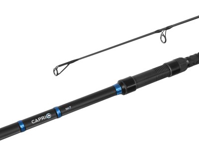 Set x 4 lansete Delphin Capri NXT 3,60 M/3,5 LBS./2 Segmente foto